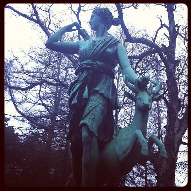 Copenhagen in January #copenhagen#cph#købnhavn#kbh#winter#january#cold#scandinav...