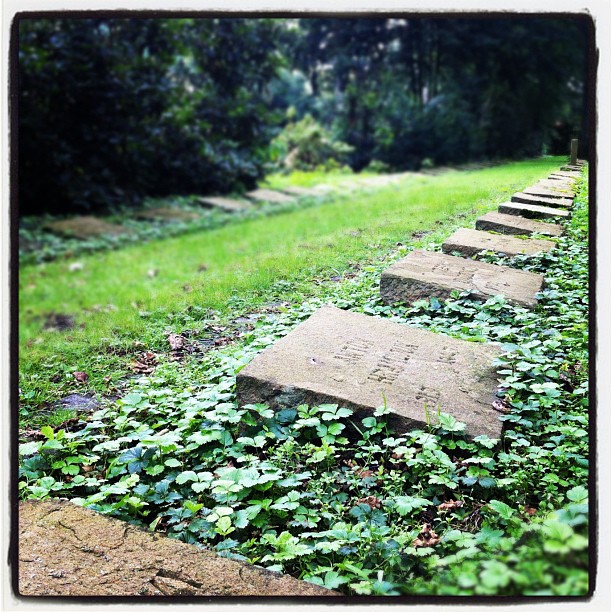 "All those people, all those lifes, where are they now?" (The Smiths) #cemetery#...