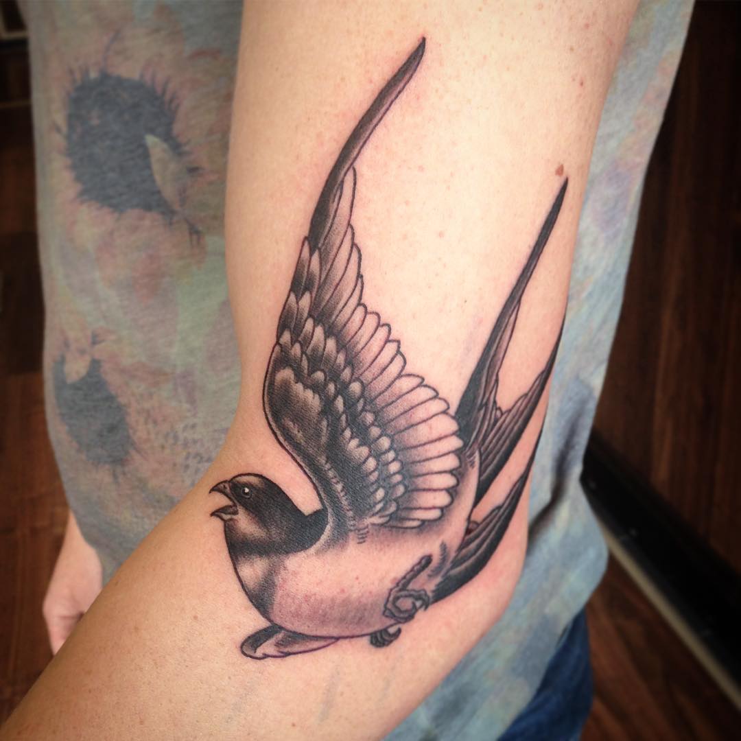 Barn swallow on an elbow, fun quicky 
#tattoo #tattoing #tatovering #dotwork #do...