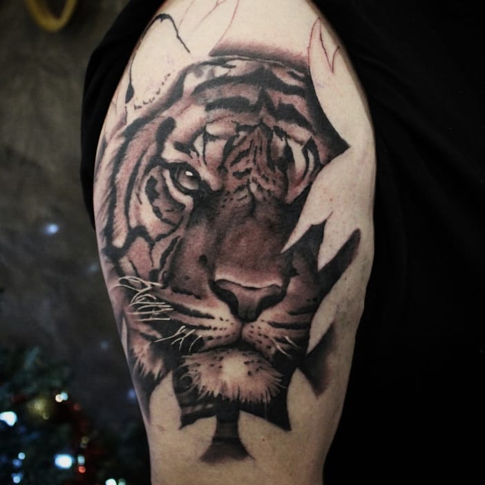 Big tiger in progress....thanks for the trust and the nice session
#germantattoo