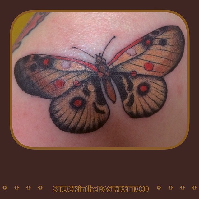 Butterfly from last week, thanks for watching.
#stuckinthepasttattoo #bright_and
