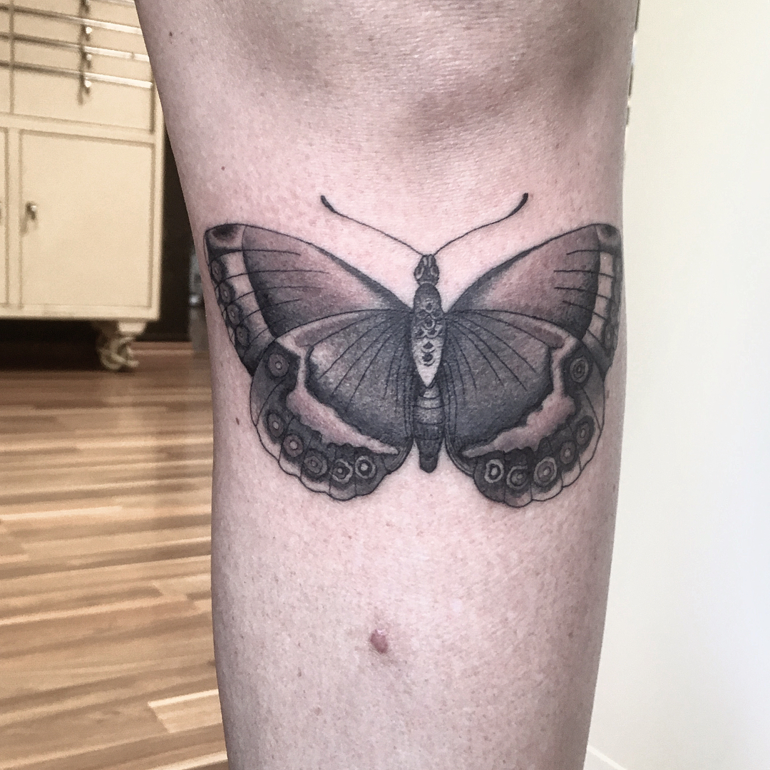 Butterfly .. #matthiasblossfeld #sideshowtraveling #finesttattoo #bestintown #fi