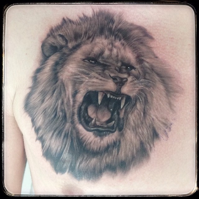 Day 2 at Royal Tattoo - his very first tattoo and my first attempt on fur struct...