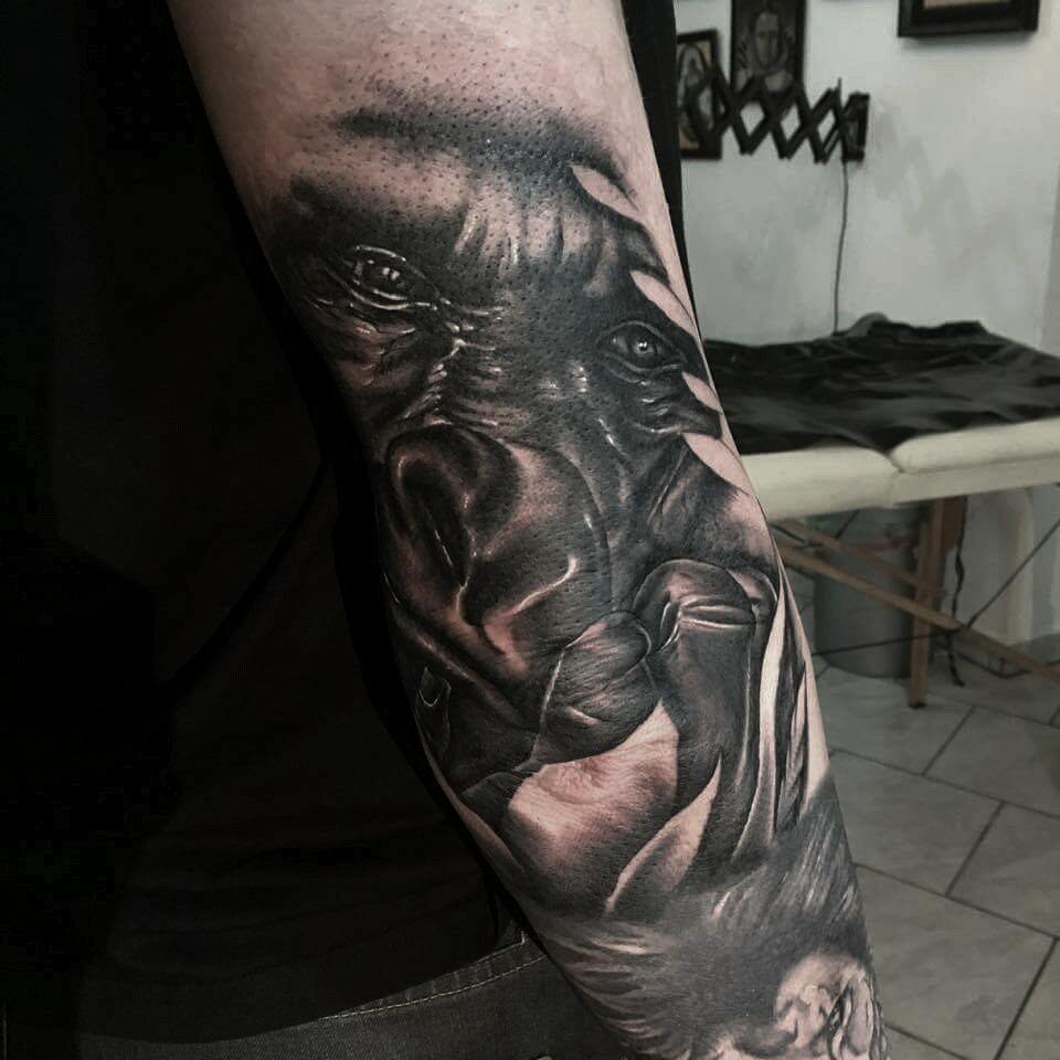 Elbow-ape from this week.....very hard to take a good photo thank you Karl -Hein