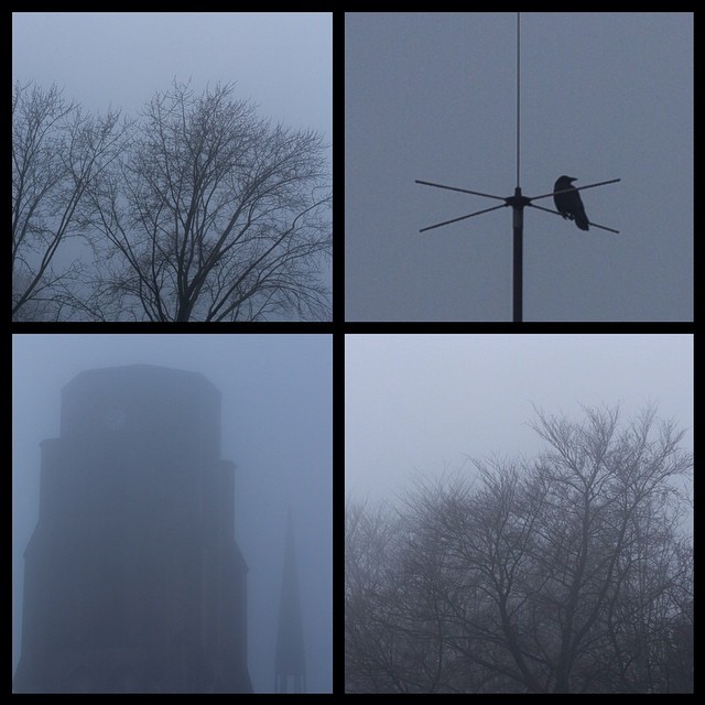 FOG You! #tree#deadtree#winter#crow#gothic#gothicchurch#fog#thefog#nebeldesgraue...