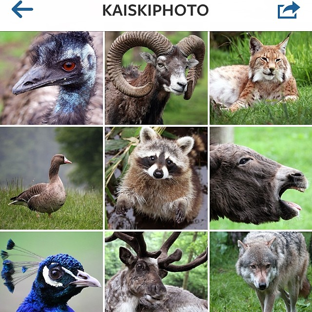 For those who are interested in my attempts in nature photography I set up a new...