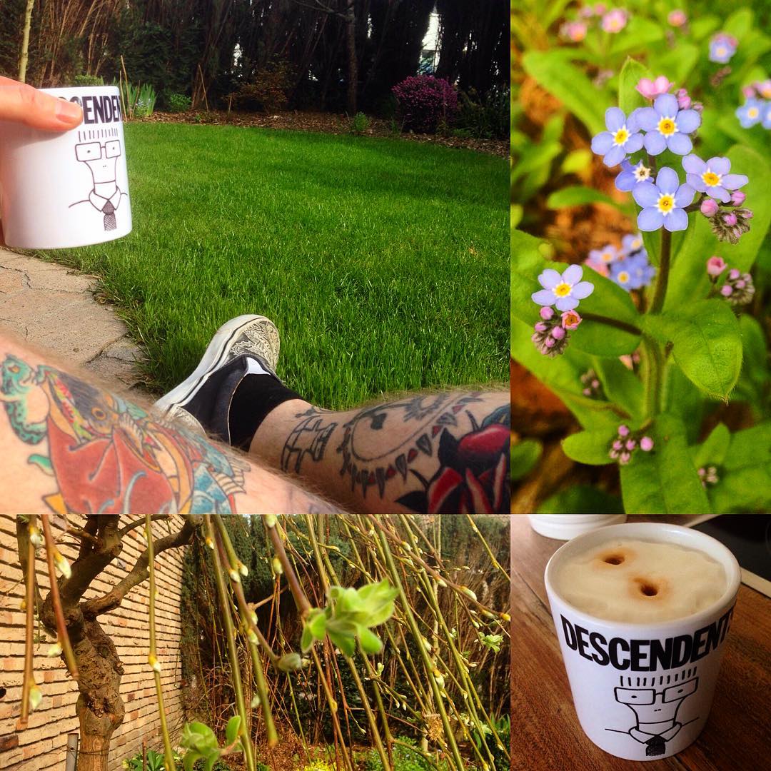 Friday morning...suburban home. 

#descendents#coffee#coffeemug#garden#gardenvar...