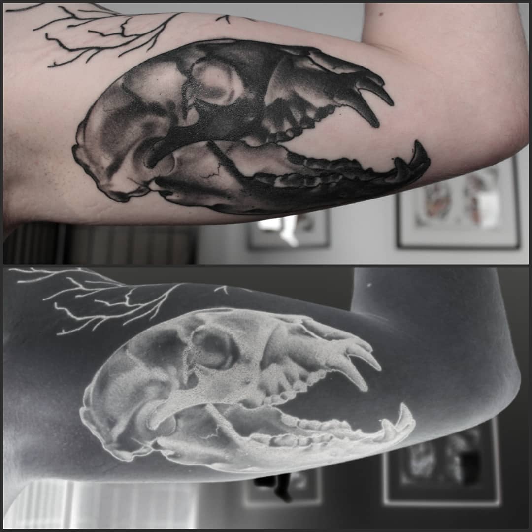 Healed inverted bearskull on one of the nicest guys i know, thanks again
#german