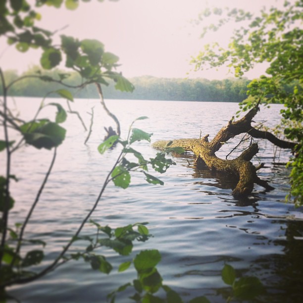 Home. #ruhrpott #ruhrgebiet #herten #recklinghausen #ewaldsee #sea#lake#water#fo...