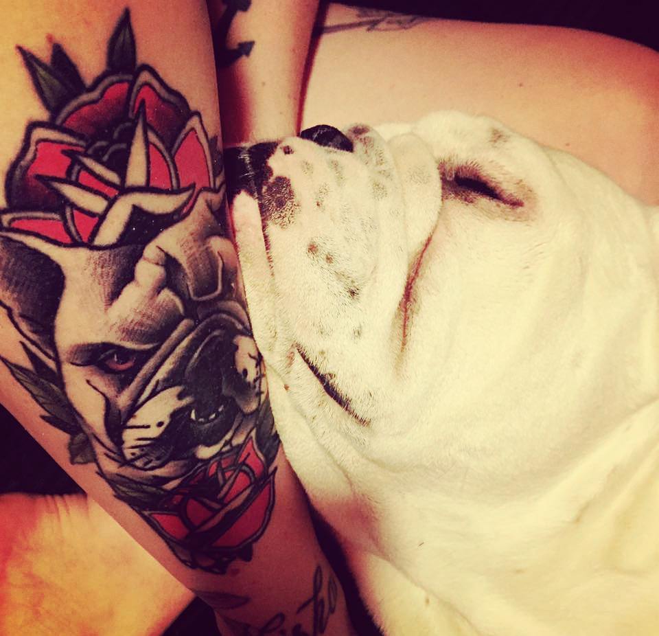 My client send me a pic of the healed tattoo and her lovely british bulldog.....
