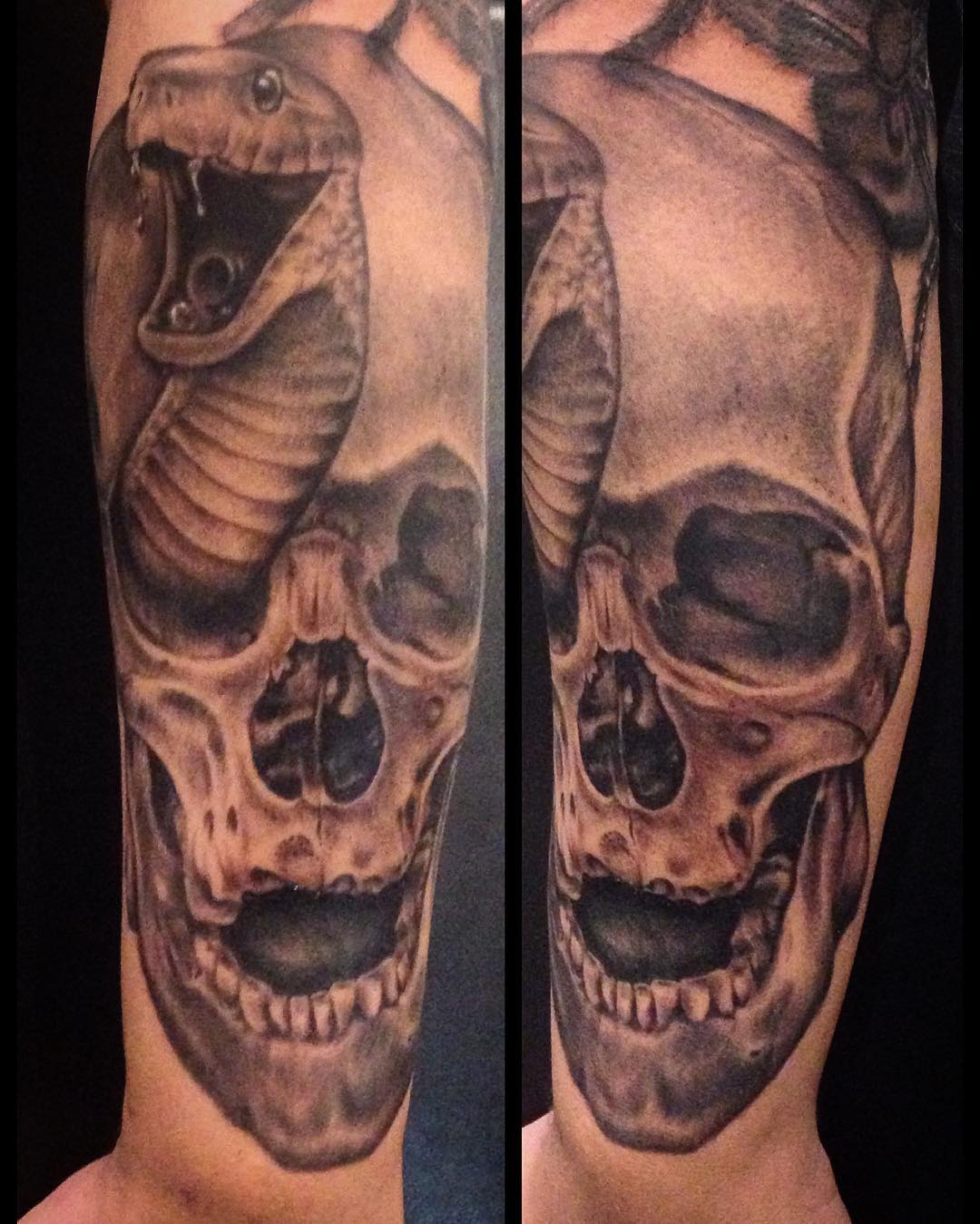 Never getting tired of skulls.

#tattoo #tattoing #tatouage #zeitgeisttattoo #bo...