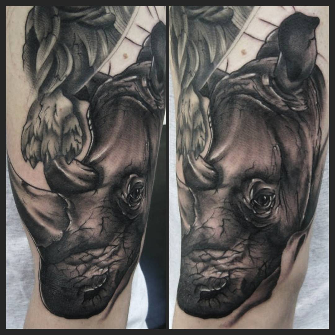 Rhino from today. thank you max for being amazingnand hard as fuck
#germantattoo