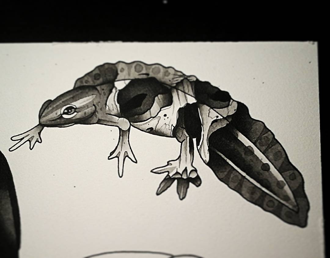 Schädelmolch!!! Falls jemand interesse hat, gerne melden #germantattooers #tatto
