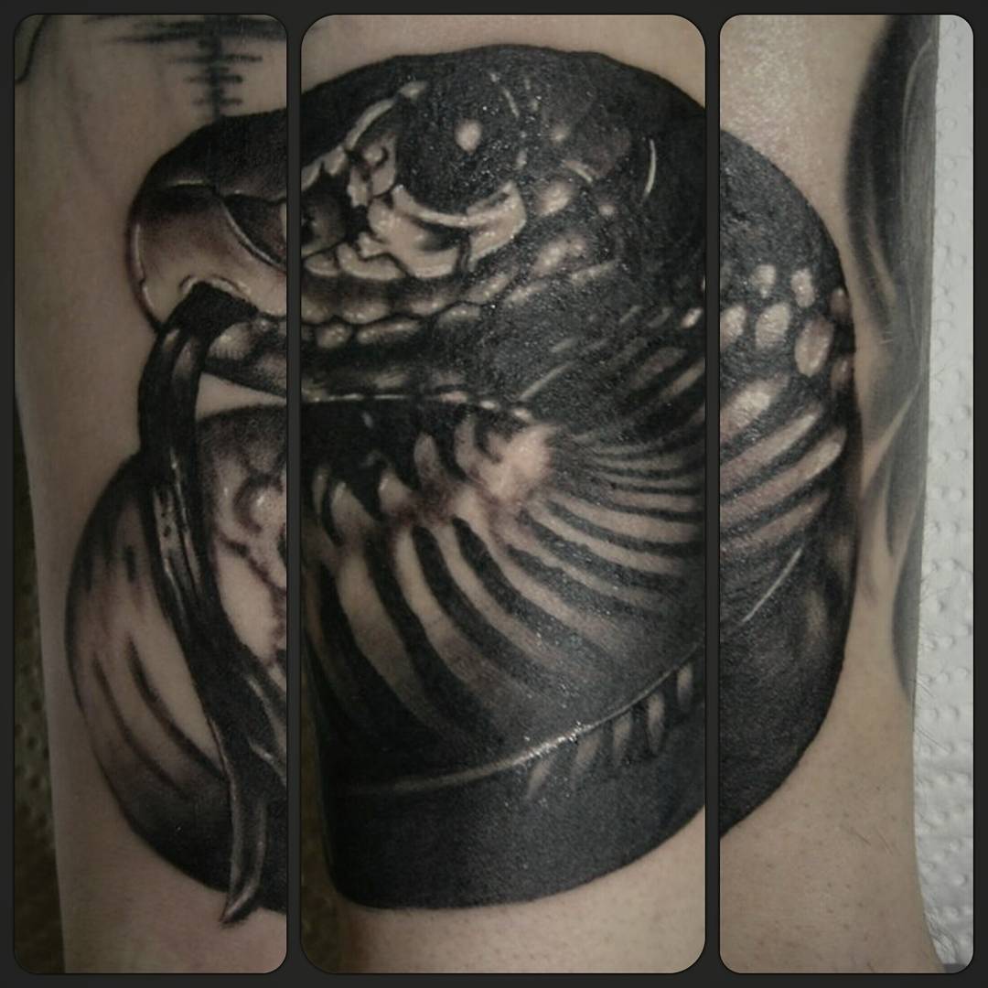 Snakeday part2  thx for looking #germantattooers #blackngreyink #blackandgreyrea