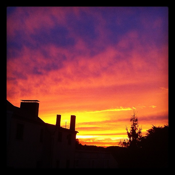 The Sky is burning...outside the kitchen window #sky#skyline #sun #sunlight #sun...