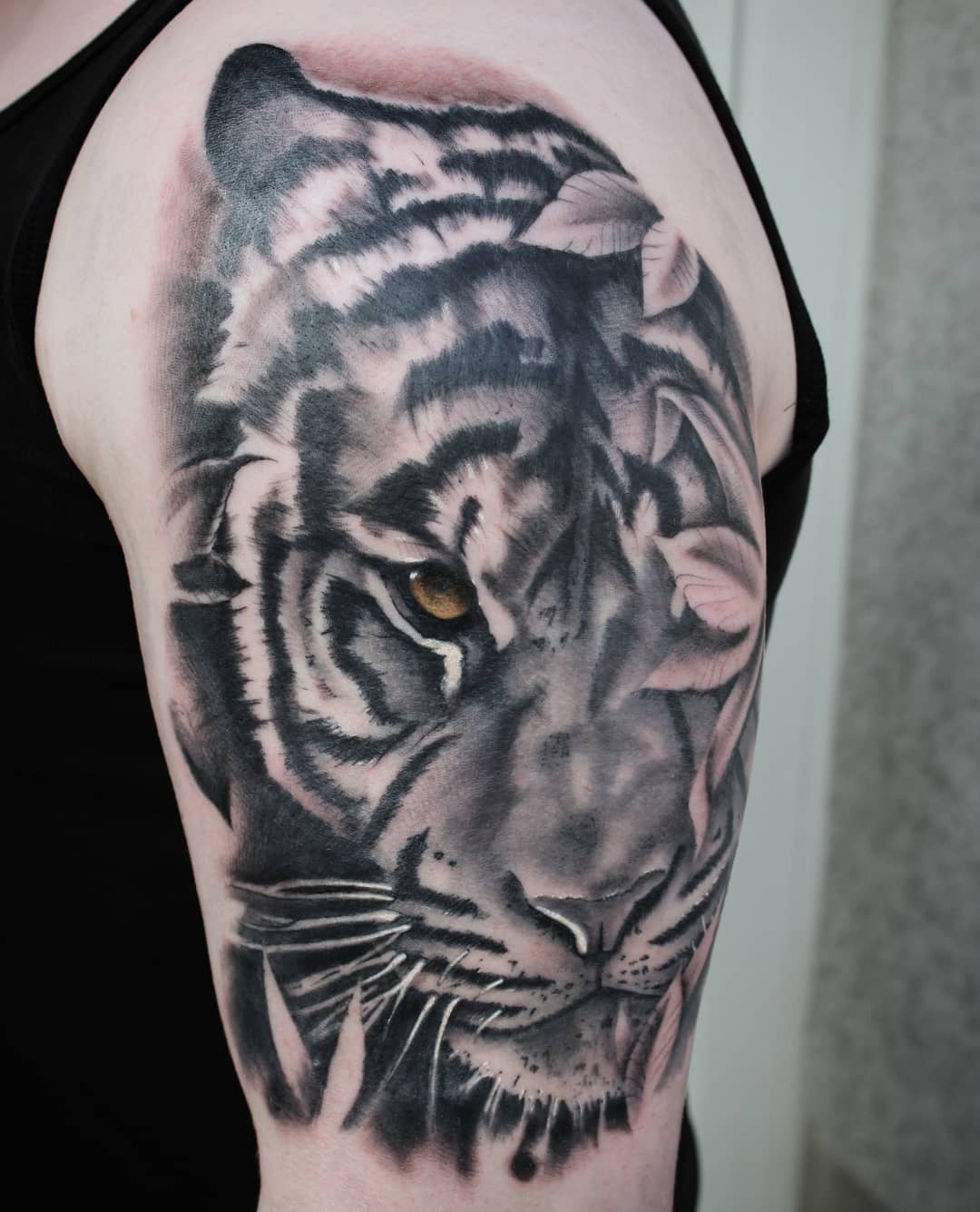 The eye of the tiger lower part healed, upper part fresh.
Thanx again  @simonhei