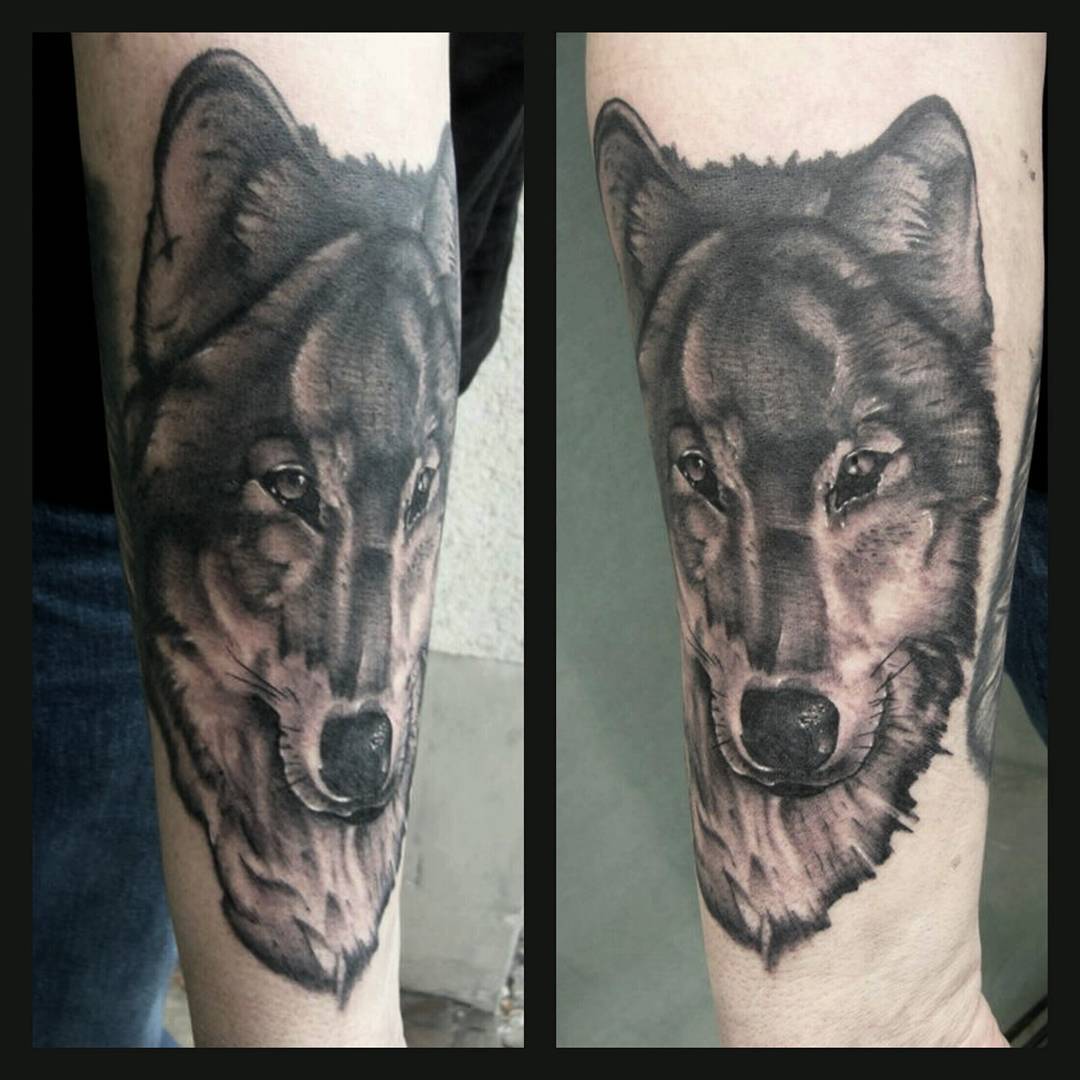 Todays work.....thx again Karl-Heinz for your trust #germantattooers #wolf #wolf