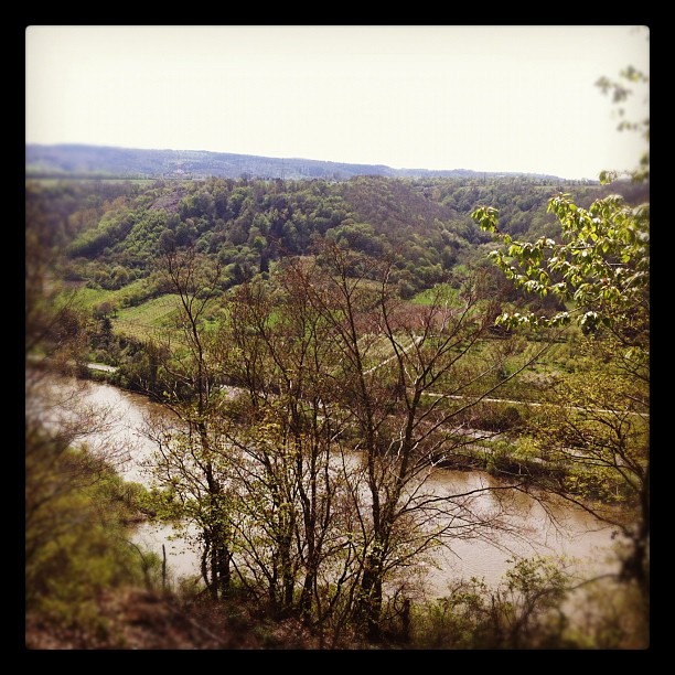 #mosel#landscape#returntrip#river#trees #mountain #mountains #sky #spring #summe...