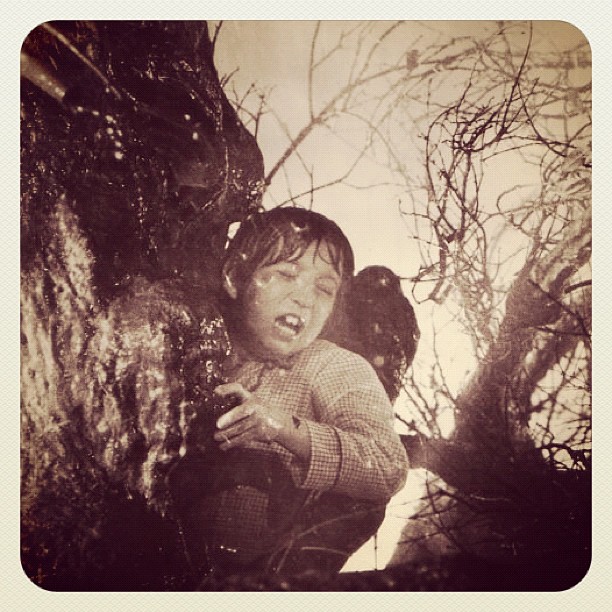 #poltergeist#tree#horror#deadtree#ghost...