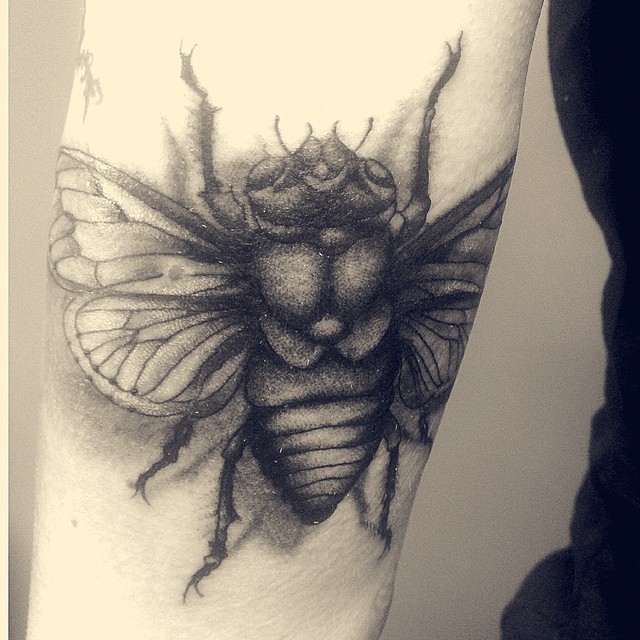 traditional cicada
#stuckinthepasttattoo #dortmundfinest #vintage #oldstyle #onl