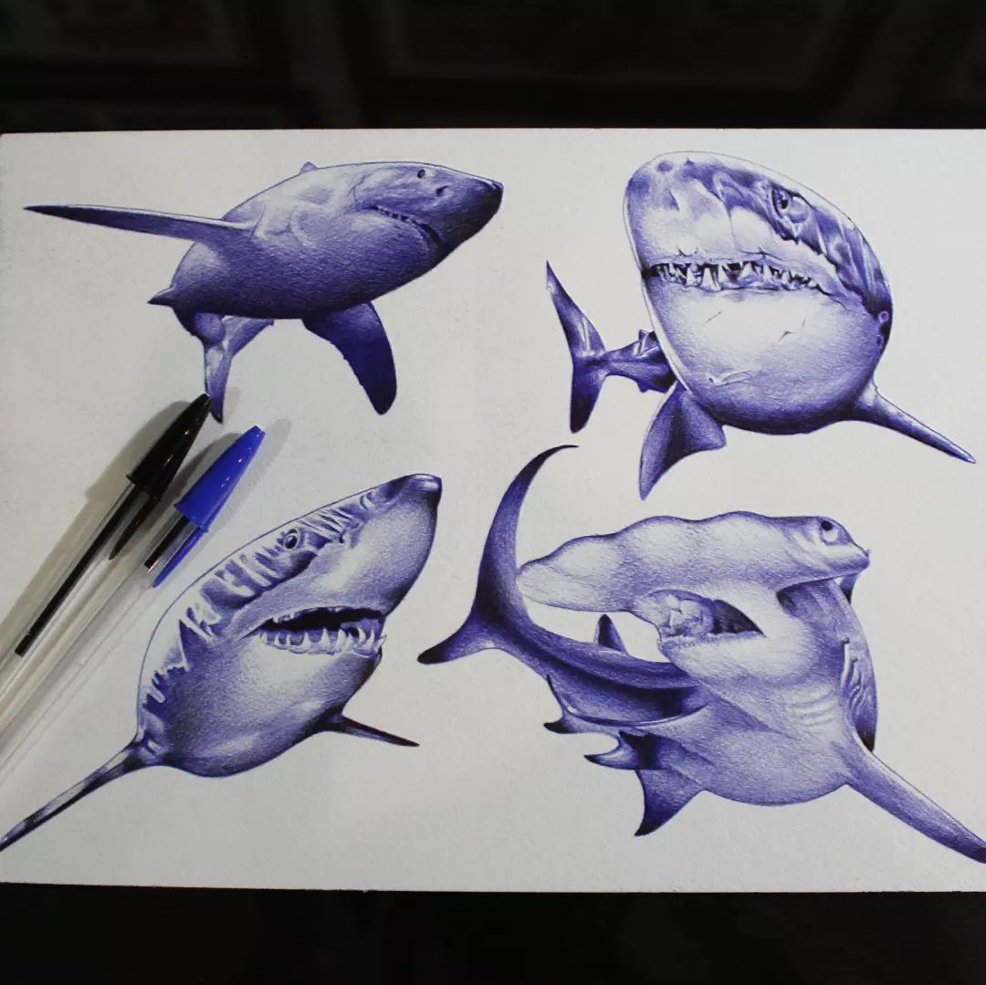 Falls jemand Interesse an einem Hai-Tattoo hat...gerne melden
#germantattooers #