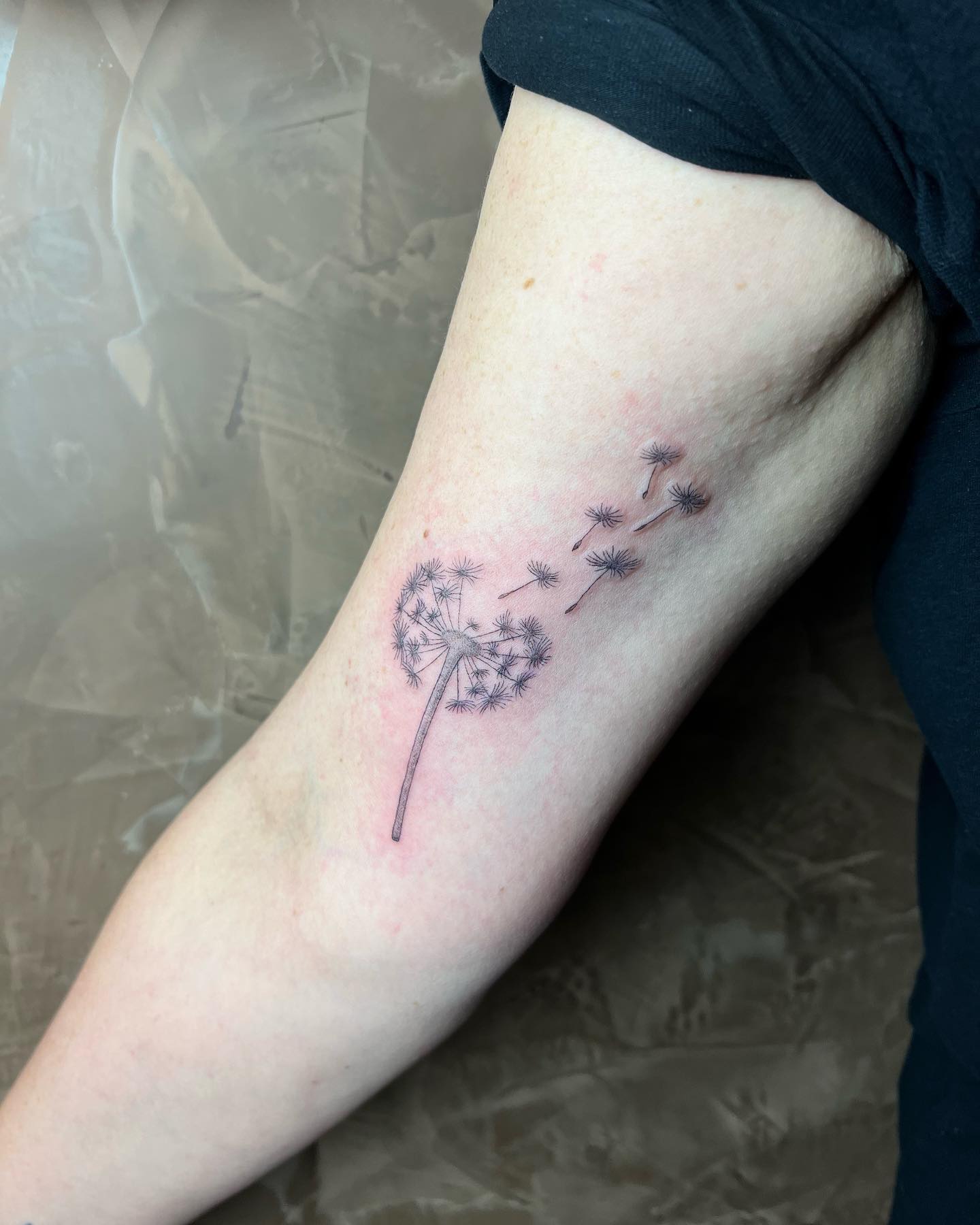 DANKE LIEBE SANDRA! @blattwerk.bochum 
.
#pusteblumetattoo #finelinetattoo #tatt