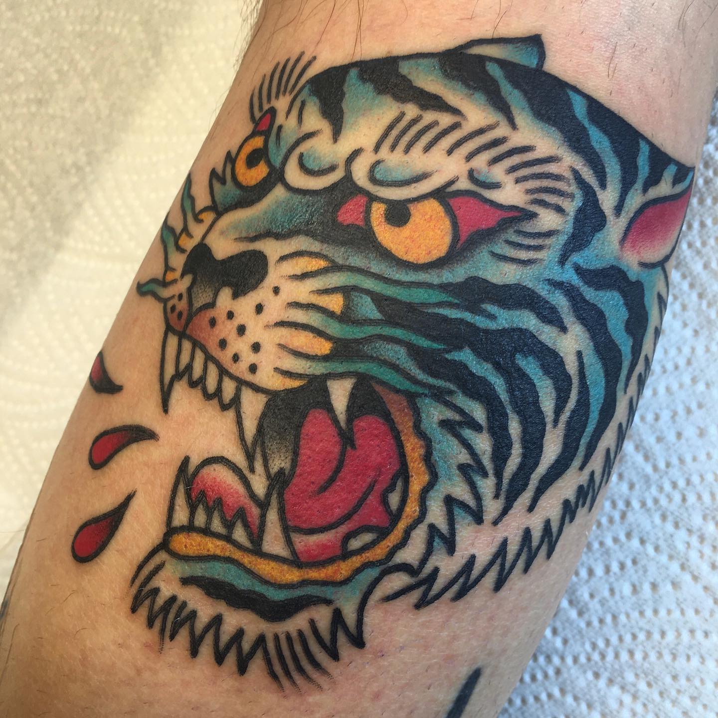 TIGER…
#tiger #tigertattoo #tattoo #tattoos #tattooed #tattoolife #tattooing #bo