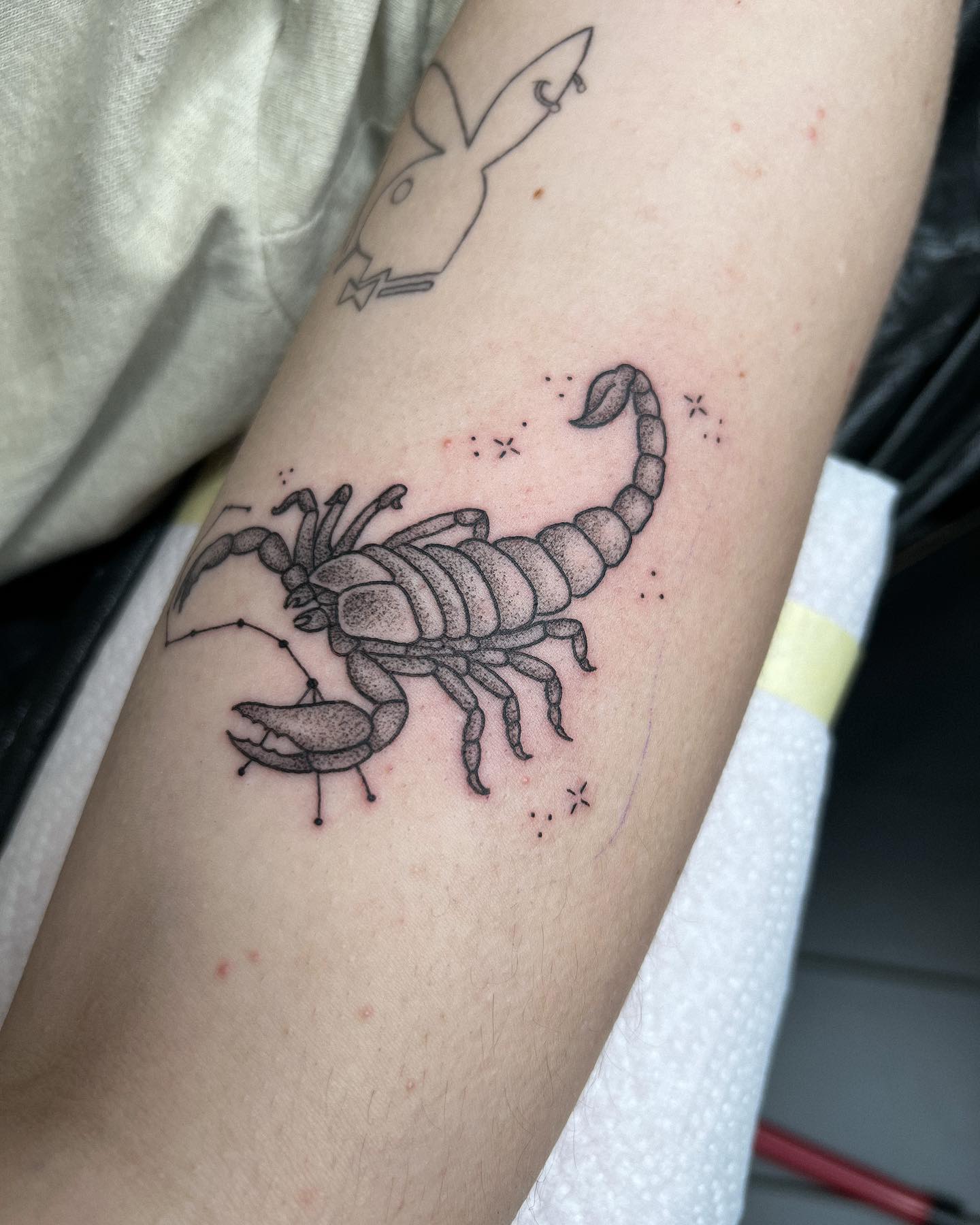 DANKE NELE! 
.
#scorpio #tattoo #fineline #dotwork #zeitgeisttattoo #tattooideas