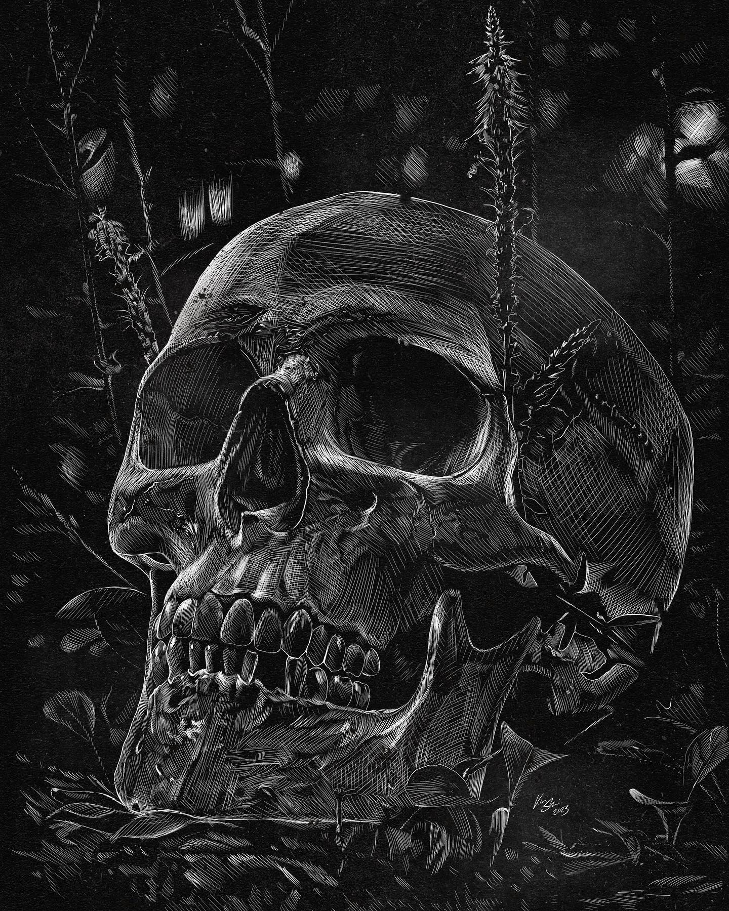 „Life from Death“

Digital Sketch, 297mm x 420mm /300dpi

I used reference photo...