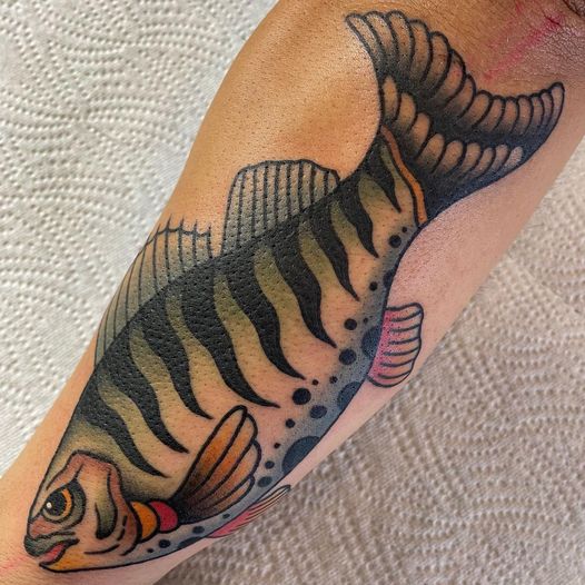 F(r)isch von @danielsimplytrue angefertigt #traditionaltattoo #fischtattoo #bars