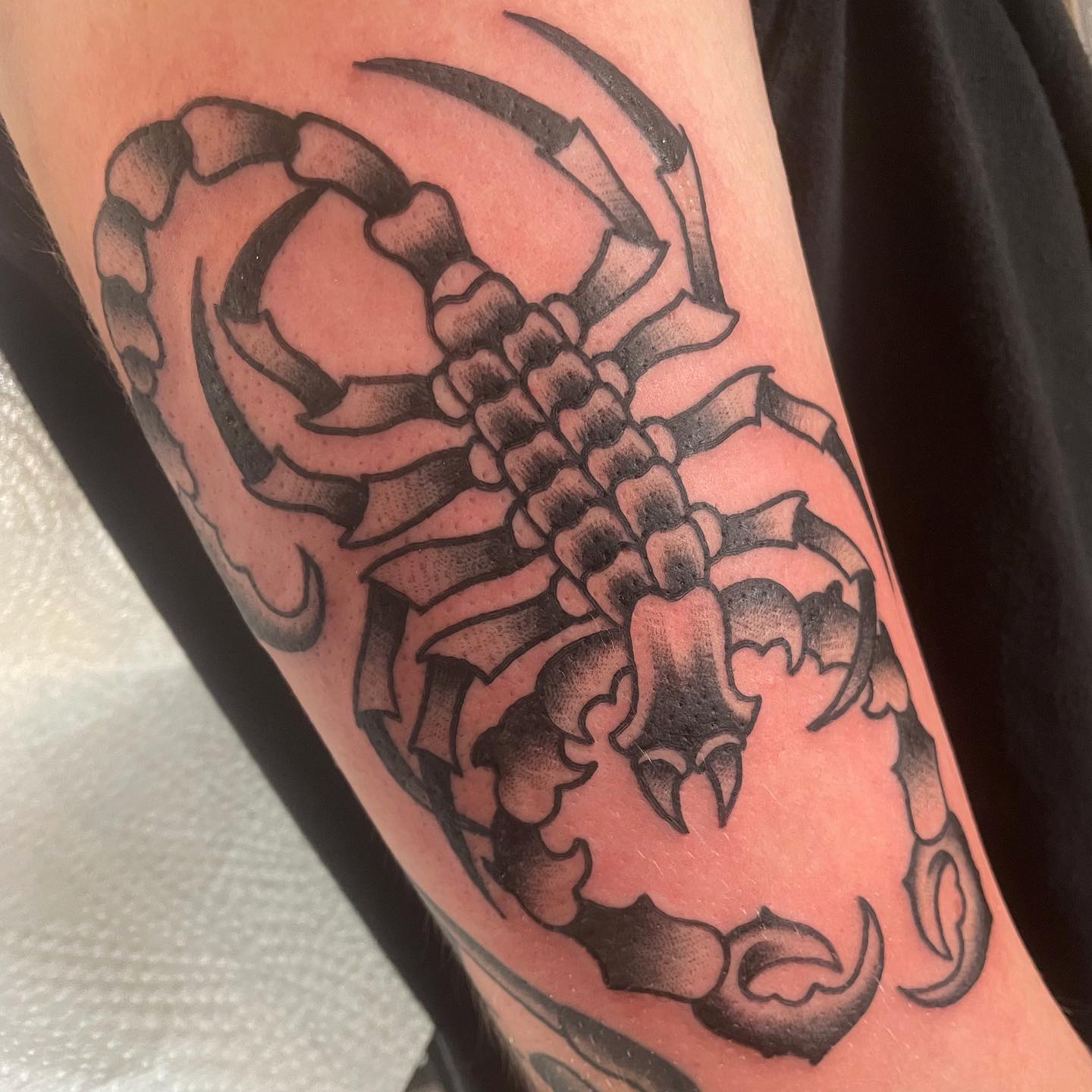SCORPION…

#tattoo #tattoos #tattooed #tattoolife #tattooing #boldwillhold #trad