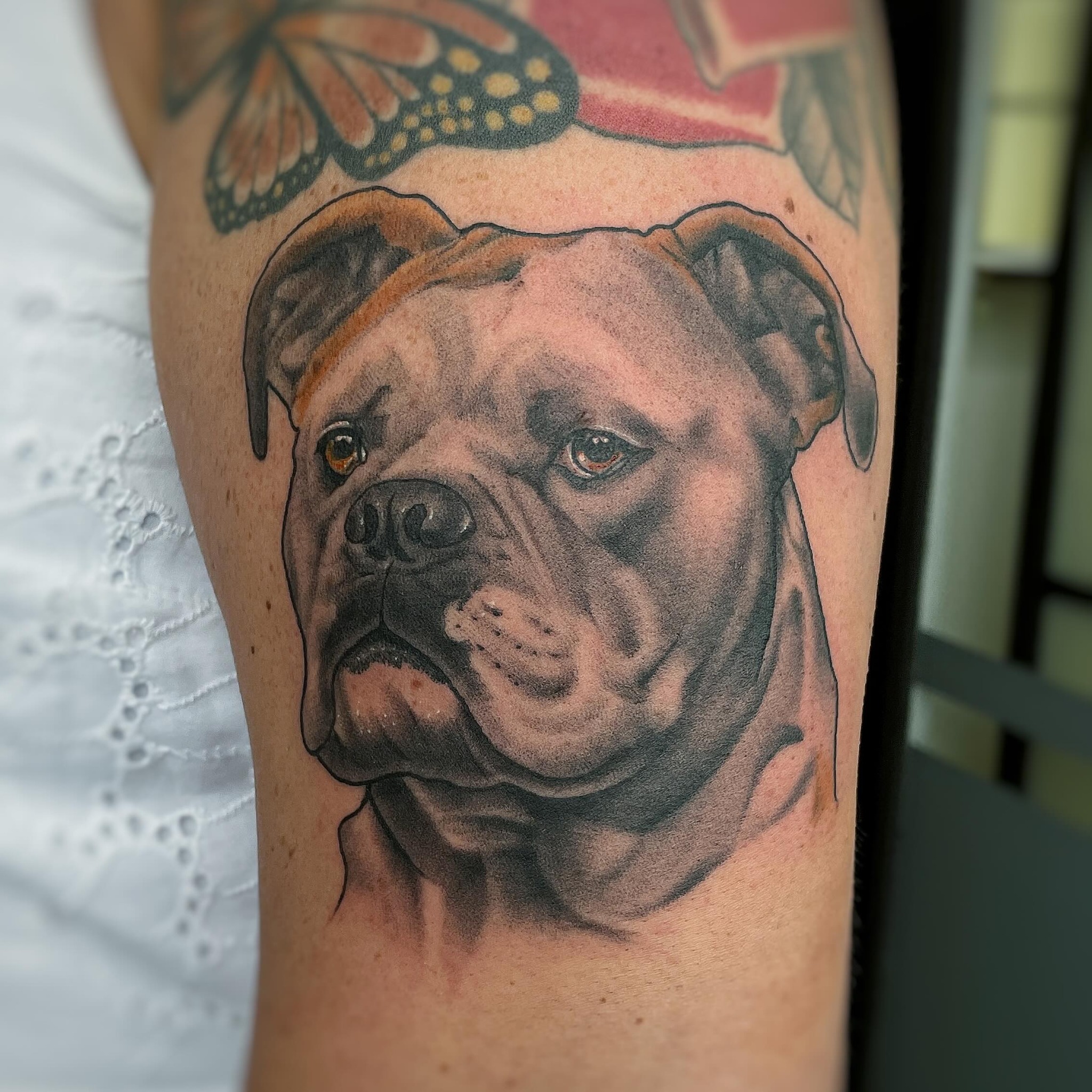 Ich liebe einfach Bulldoggen und würde am liebsten jeden Tag einen anfertigen! E