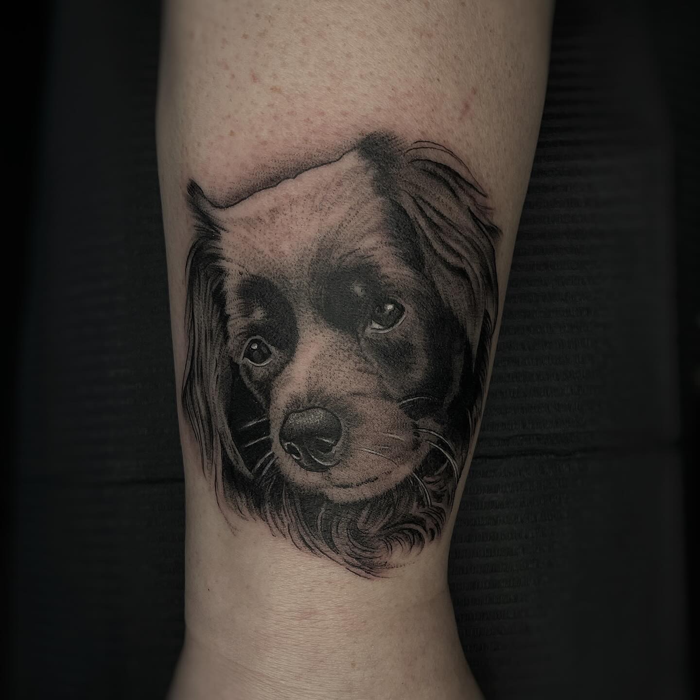 Hundeportrait in Black & Grey 

Tattoo angefertigt von @ronraida 

Ein kleines,